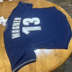 Billy Wagner Signed Astros Mitchell & Ness Cooperstown BP Jersey HOF 25 Insc
