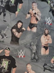 Vintage WWE Twin Sheet John Cena Roman Reigns Randy Orton Daniel Bryan