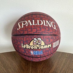 SPALDING LeBron James #23 Cleveland Cavaliers Outdoor Mini Basketball 7″ Wide