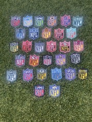 Carolina Panthers NFL Patch 2” X 3” Iron On Embroidered
