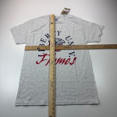 NEW Liberty Flames Shirt Adult Medium Gray Crew Neck Logo NCAA Casual