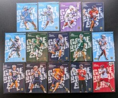 2025 PLL Fieldside GAME BREAKERS (14) Card Complete Premier Lacrosse League Set