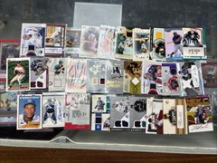 29 Card Multi-Sport Patch/Mem Lot. Years And Brands Vary