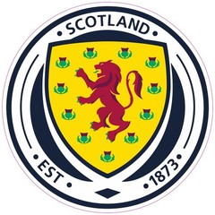(NOT A PATCH) Scotland National Soccer Team HTV Heat Transfer Vinyl Iron On
