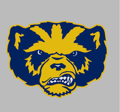 Sticker – Michigan Wolverines Logo – Die Cut Laminated Vinyl Decal