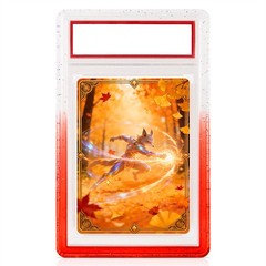 3-30 Pack Gradient For PSA Graded Card TPU Slab Bumper Guard Protector Stackable