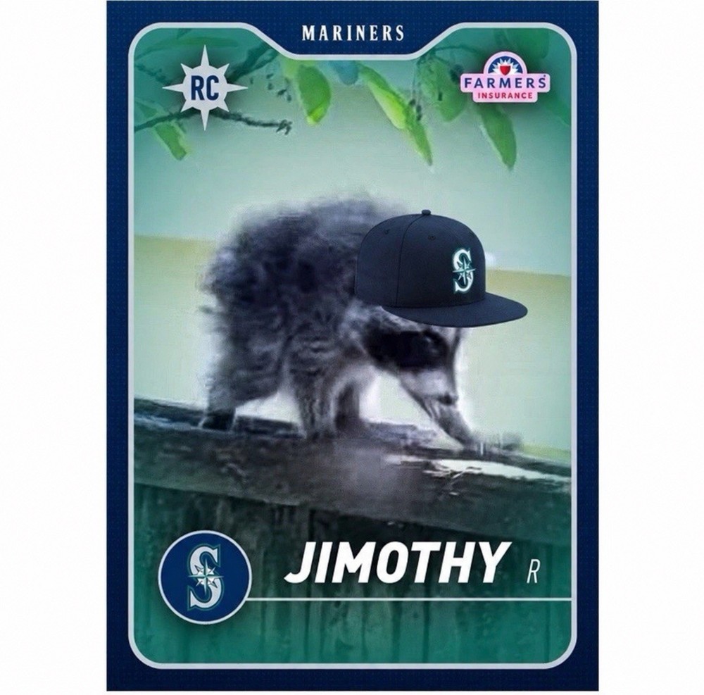 Seattle Mariners Jimothy The Raccoon Baseball Rookie Card 8/5 Mint Condition