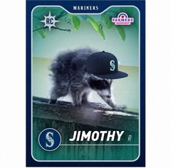 Seattle Mariners Jimothy The Raccoon Baseball Rookie Card 8/5 Mint Condition