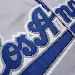 Shawn Green 2002 Los Angeles Dodgers 40th Anniv. Men’s Grey Road Jersey