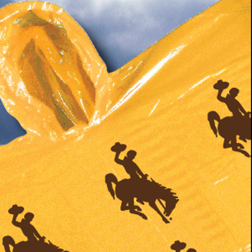 LOT OF TWO (2) WYOMING COWBOYS, ADULT SIZE, POLYETHYLENE HOODED PONCHOS