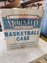 Mounted Memories Protected Full Size Basketball Display Case