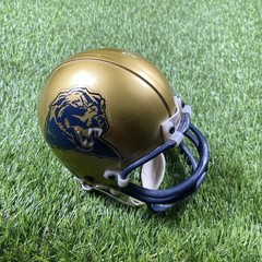 Pittsburgh Panthers Riddell Mini Helmet Mens 3 5/8 Mid Size Ncaa