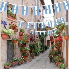 AhfuLife 33 Ft Argentina String Flags Banner 5.51×8.26 in-30 Pcs,