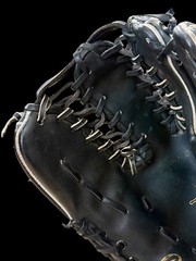 USA HOH RAWLINGS PRO-12TCB HORWEEN LEATHER 12″ TRAPEZE GLOVE HEART OF THE HIDE