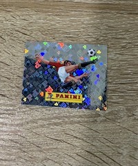 2026 Panini FIFA World Cup Sticker Collection 00 Panini Logo FOIL