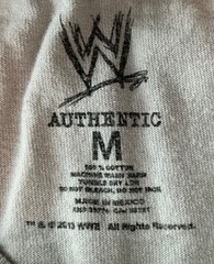WWE Daniel Bryan YES Movement Authentic T-Shirt Men’s M Grey Wrestling Fan