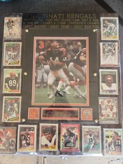 Cincinnati Bengals, memorable moment “The freezer bowl” plaque.