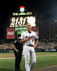 Baltimore Orioles Cal Ripken Jr 8×10 Photo MLB Baseball Print #7