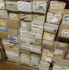 Storage Unit Estate MLB Vintage Cards – BCW 300 COUNT BOX FULL – BASEBALL ONLY