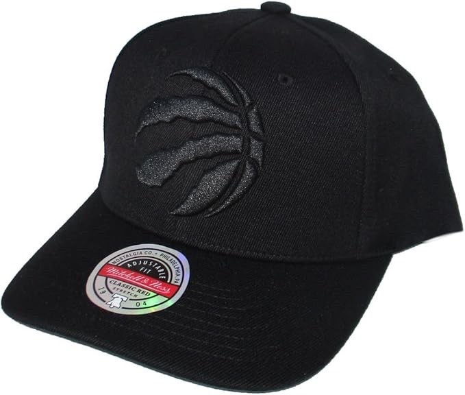 Mitchell & Ness NBA Toronto Raptors Stretch Snapback Hat Cap