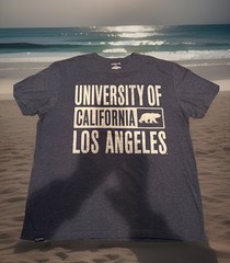 UCLA BRUIN Block Letter & Bear Logo JanSport Shirt Adult XL Official Blue NCAA