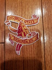 FLORIDA STATE SEMINOLES IRON ON PATCH MADE IN THE USA 3inx3in