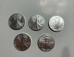 2023 1 oz .999 Fine American Eagl e BU Lot of 5