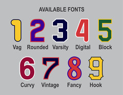 VARSITY Tackle Twill Pro Authentic Jersey Number Kit Like Yankees Braves Tigers