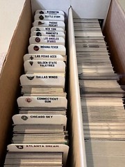 (13) TALL Sports Card Dividers with 13 FREE WNBA Teams Logos Labels