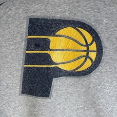 Nike Indiana Pacers Hoodie Sweatshirt Mens XL Gray NBA Basketball Pullover
