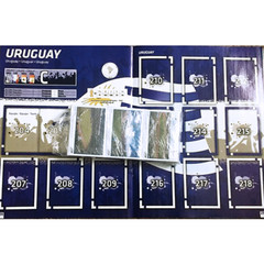 Panini Copa America Argentina 2011 – Complete Set & Empty Album