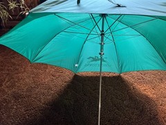 Suffolk Downs Umbrellas