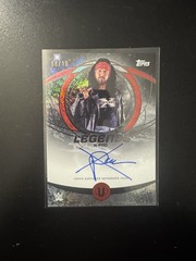 WWE Topps Universe X-PAC Autograph Auto Card /10 READ DESC