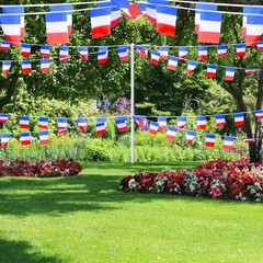 AhfuLife 33 Ft French String Flags Banner for 5.51×8.26 in-30 Pcs,