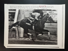 1987 Alysheba Practicing at Pimlico Strip for Preakness Type 3 8×11 Photo Copy