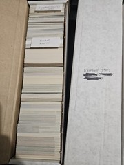 Huge Lot Of Sports Cards, MLB, NFL, NBA, WWF