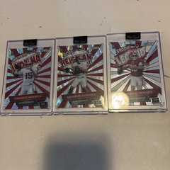 2025 Wild Card Comix Fernando Mendoza Lot Of 3. 1/3, 1/2 And 1/5🔥🔥🔥🔥🔥🔥🔥