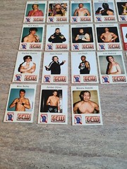 2022 Game Changer Wrestling GCW x PBR Trading Cards Pick Singles Chase Patreon