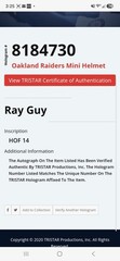Ray Guy Mini Helmet 2014 Signed