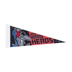 4 packs of 10 (40) BCW 12″ x 30″ Pennant Topload Holders