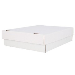 BCW Monster Storage Box For Trading Cards (3,200 CT.)