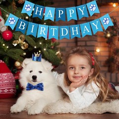 Selemoy Dog Birthday Party Supplies, Hat Bandana Medium, Blue