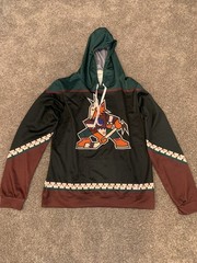 Arizona Coyotes Kachina Hoodie
