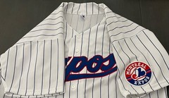 Montreal Expos Jersey Russell Athletic Pinstripe White X-Large