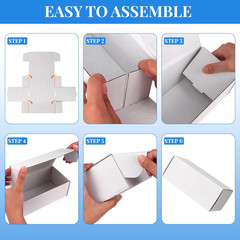 Trading Card Storage Box with Dividers, 12 Pack • 400 Count Bulk Card Collection