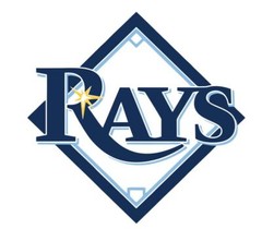 Tampa Bay Rays MLB Baseball Sticker Decal S280