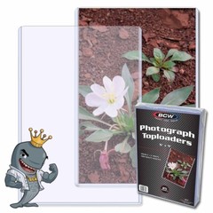 BCW 6×9 Topload Holder 25ct Pack FREE SHIP