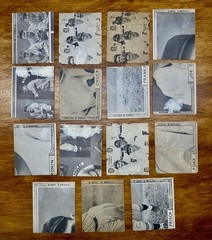 1935 Goudey 4-In-1 Baseball Lot of 15 Earl Averill Heinie Manush HOF, Low Grade