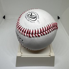 Rainiel Rodriguez St. Louis Cardinals SIGNED Leather Rawlings Baseball Ball BAS