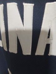 vintage Nashville predators Jersey